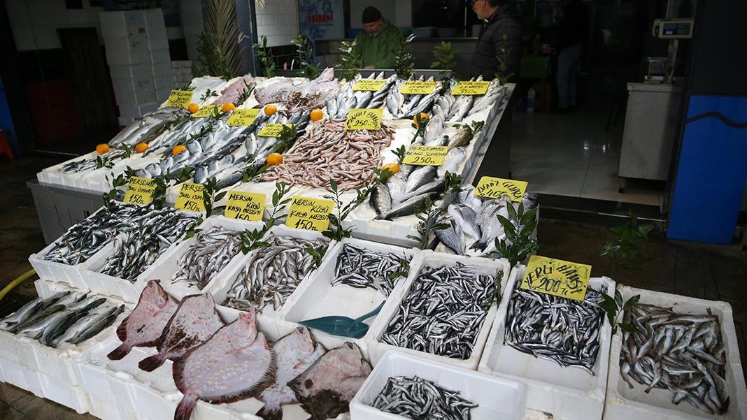 Karadeniz'de bereketli sezon