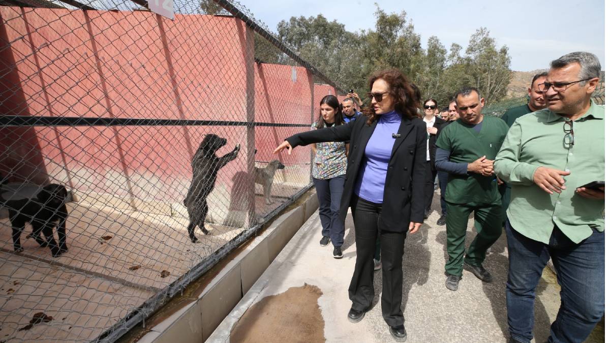 Karşıyaka yeni hayvan yaşam merkezine kavuşuyor