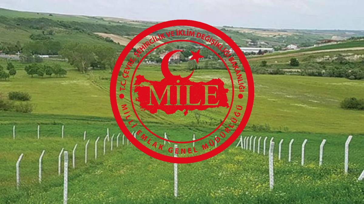 Milli Emlak’ta fırsatlar bitmiyor! Ankara, Amasya… 35.000 TL’den tarla, 52.000 TL’den arsa satışta