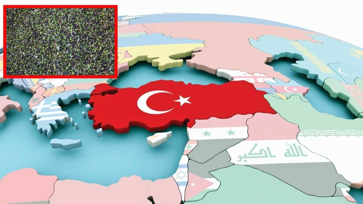 Dünya listesinde Mısır’ı geçerek ilk sıraya yerleşti! Türkiye zirvenin sahibi oldu: O üründe en iyi üretim ülkemizde