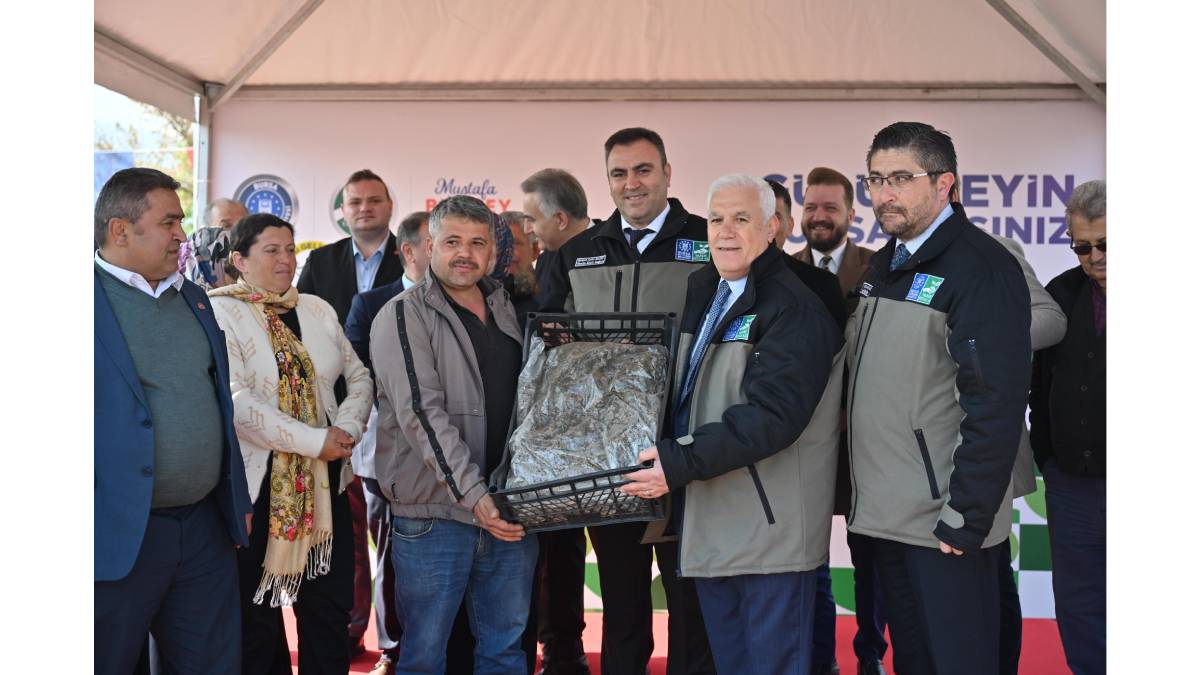 Büyükşehir’den çiftçiye 1 milyon 222 bin adet çilek fidesi