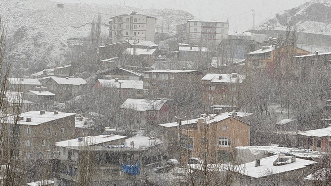 Hakkari Üniversitesi'nde eğitime ara