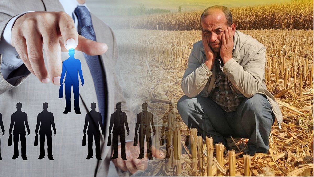 Tarım Politikaları Kurulu'na şok atama: 12 üye belli oldu, aralarında bakın kim yok?