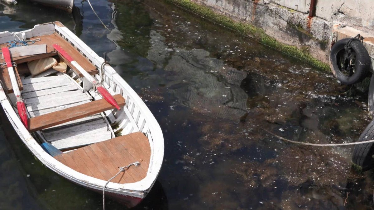Prof. Dr. Öztürk'ten müsilaj uyarısı: Deniz beni temizleyin diye bağırıyor