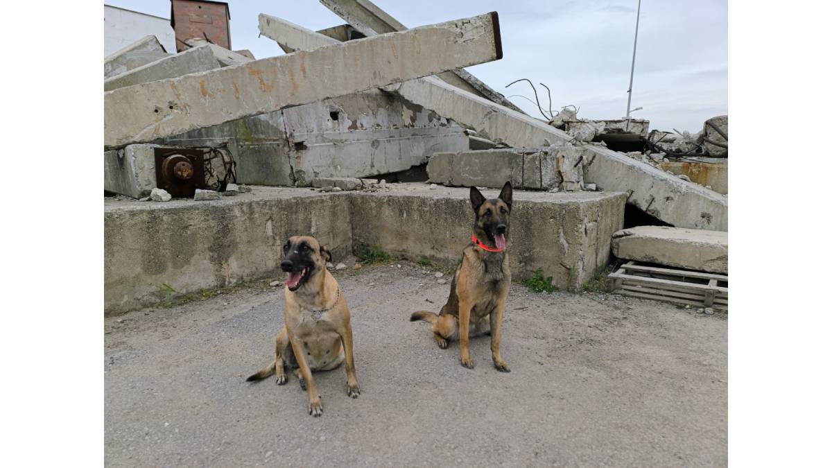 Asil ve Bety afetlerde mucize yaratıyor! İki kardeş İzmir ve Kahramanmaraş depremlerinde onlarca hayat kurtardı...