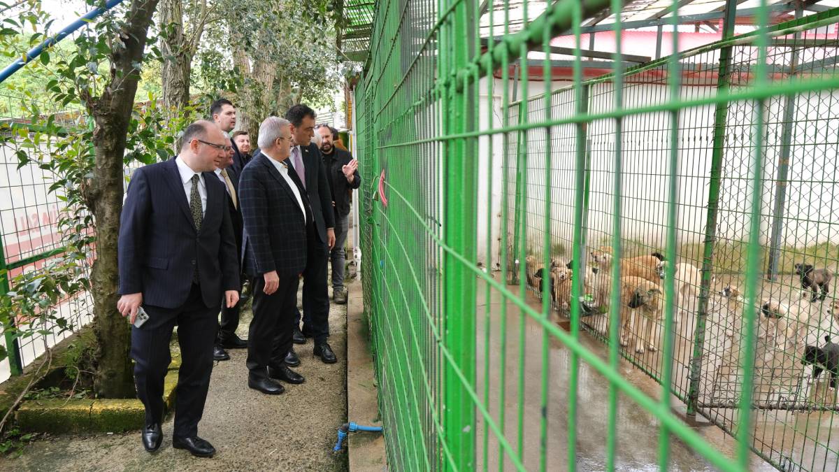 İçişleri Bakan Yardımcısı Münir Karaloğlu hayvan barınağı ve hayvanat bahçesini ziyaret etti