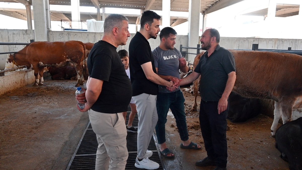 2025 vekaletle kurban kesim bedeli belli oldu