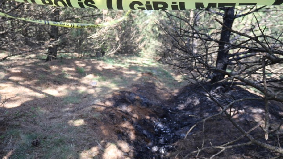 Eskişehir'de kayıp kadın cinayeti: Ormanda yanmış cesedi bulundu