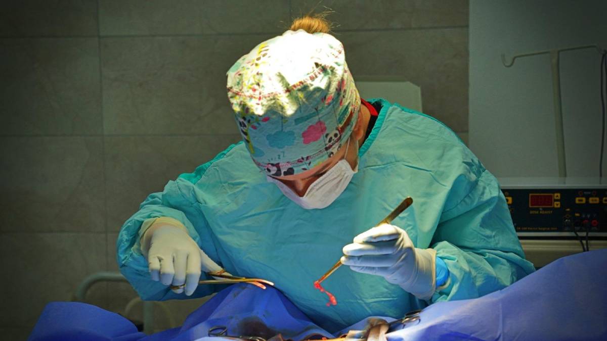 Dünya Veteriner Hekimler Günü’nde İzmirli veteriner hekimlerden çağrı: “Barınaklarda kalbinizi çalacak canlar var”