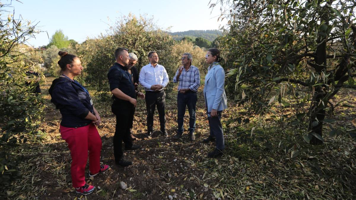 Don zararını azaltmak için narenciye üreticilerine gübre dağıtıldı
