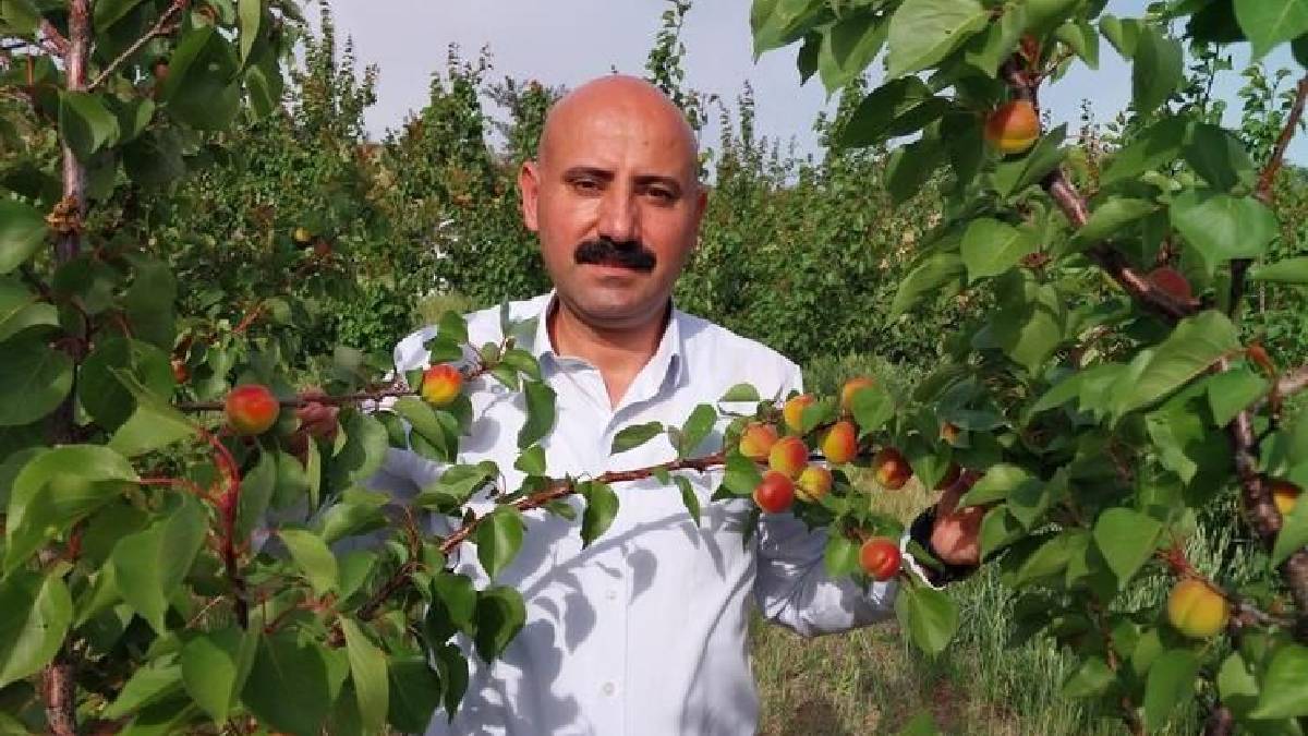 Üretimin 1 numaralı adresi! 2025’in ilk hasadı başladı: 500 TL’ye tezgaha çıkan ürünün 250 TL’ye  kadar düşmesi bekleniyor