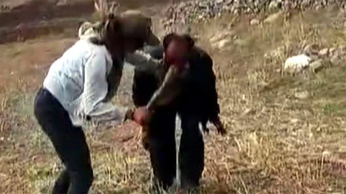 Engelli çobanı darp eden kız kardeşlerin davasında karar