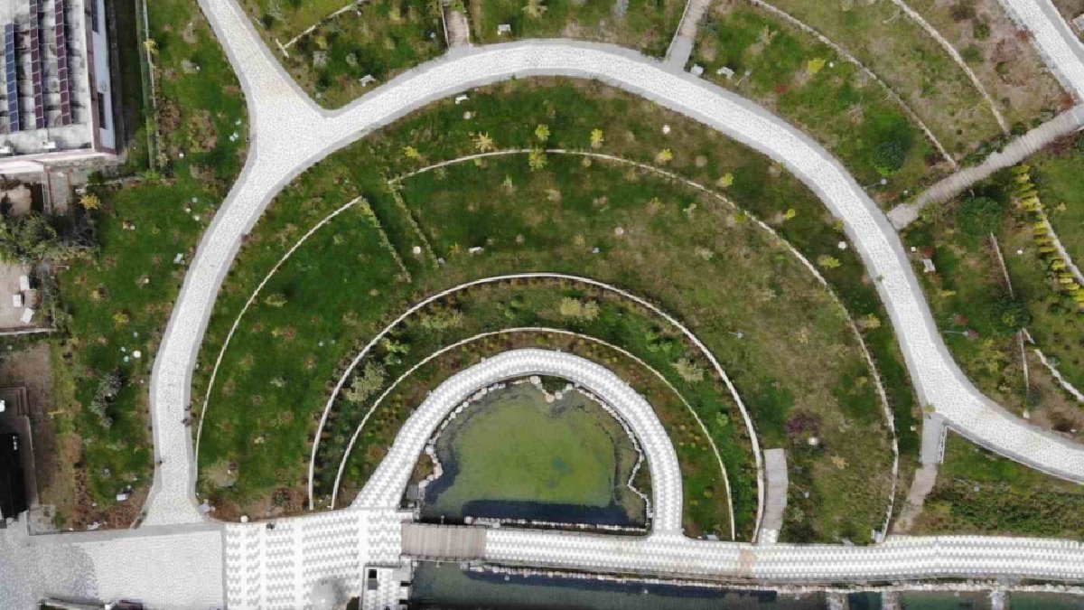 20 yıldır bekleniyordu… Batı Karadeniz’de sadece o şehirde bulunuyor, ünü dünyaya ulaşıyor!Türkiye’yi en iyi orası temsil ediyor