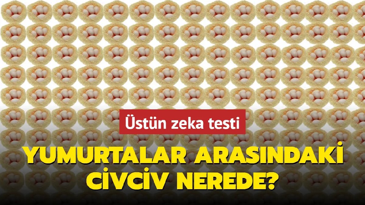 Görsel illüzyon alarmı! Bu yumurtaların arasında gizlenen civcivi görebiliyor musun?