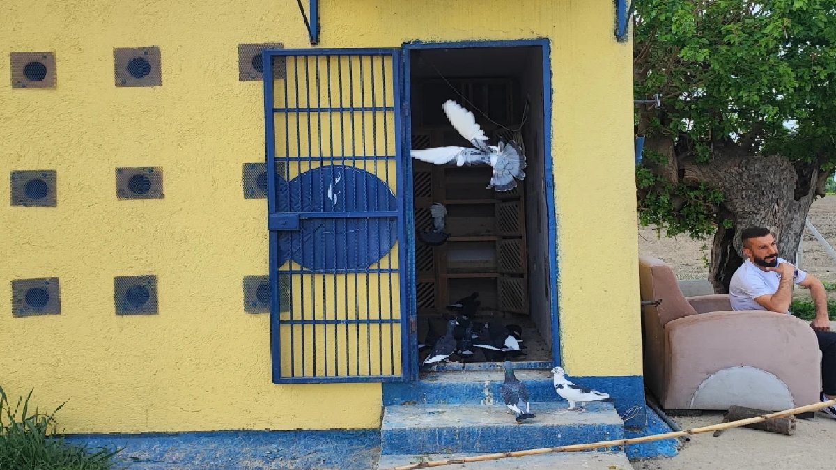 İki tanesi birden kayboldu, hemen ilan verdi! Bulanlara 20 bin TL ödül