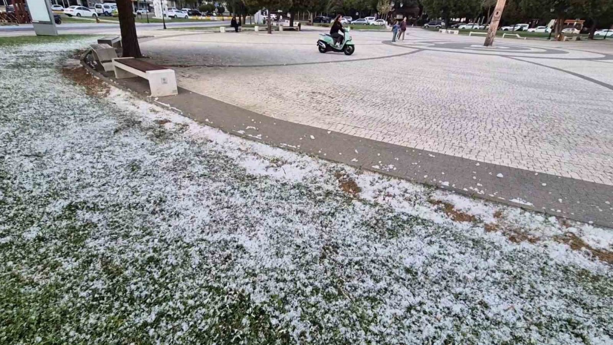Evden sakın maskesiz çıkmayın! Kar değil, polen beyaza bürüdü