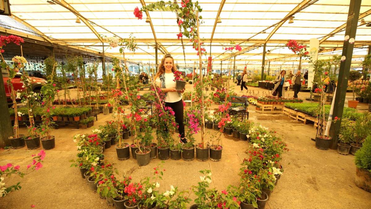 Yılın en renkli festivali 16 Mayıs’ta başlıyor!