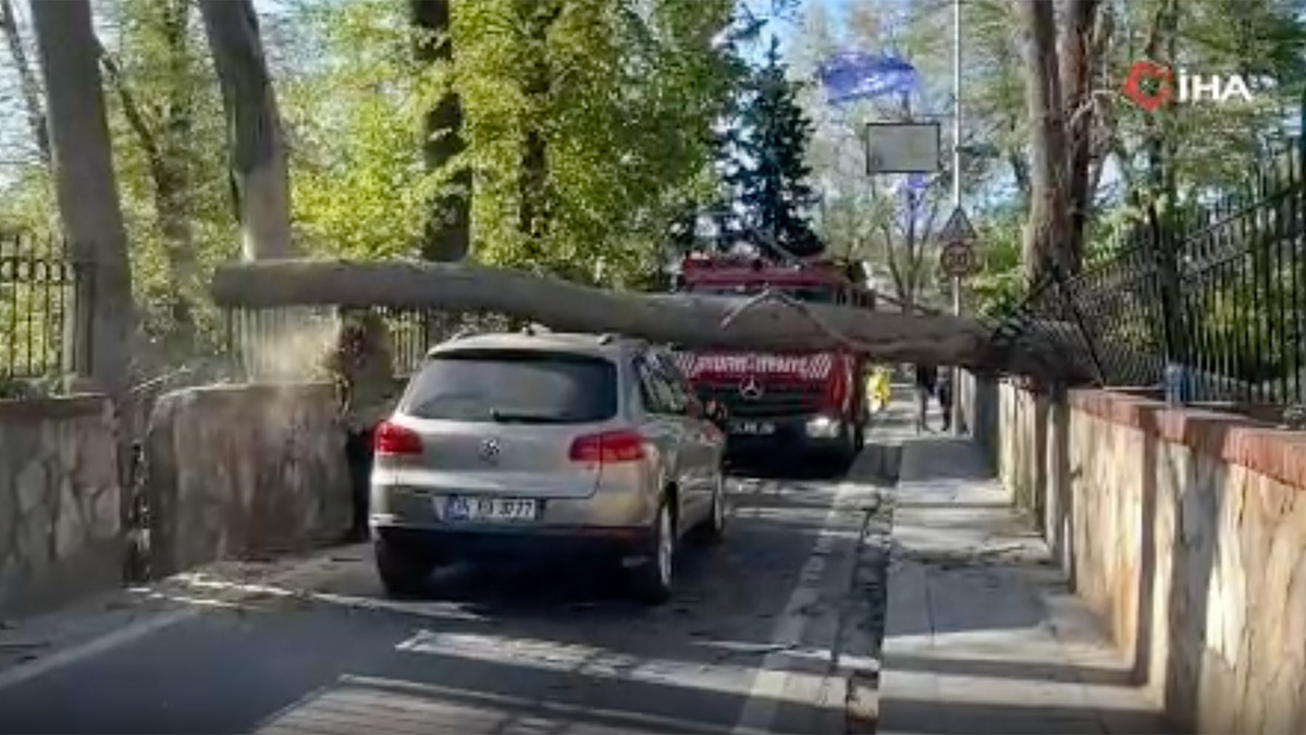 İstanbul'da şiddetli rüzgar! Sarıyer’de ağaç otomobilin üzerine devrildi