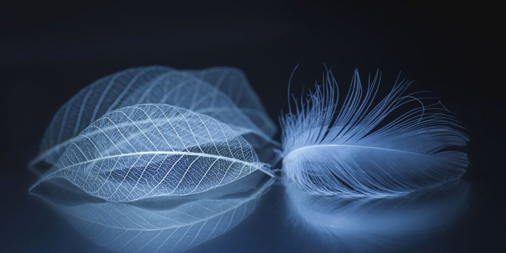 Kişilik testi: Kolayca güvenir misiniz? Şüpheci misiniz? İlk gördüğünüz şey bunu ortaya çıkaracaktır!