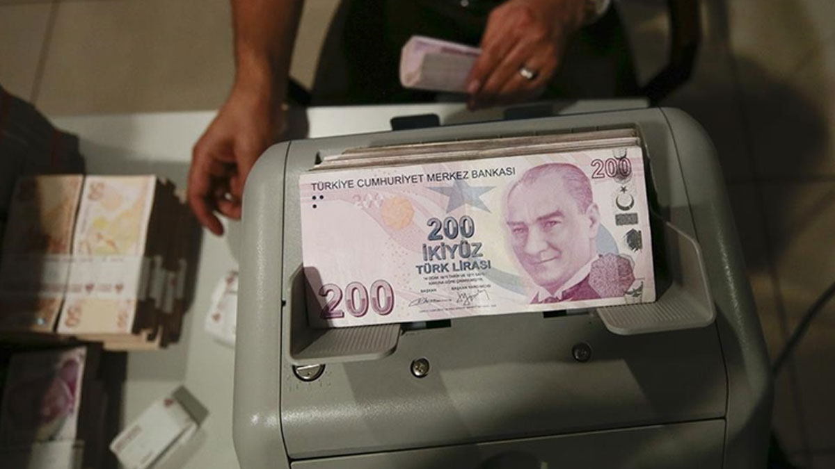 200 TL’nin alım gücü 25 kat azaldı... Prof. Dr. Babuşcu: En büyük TL banknot 5.000 TL mi olmalı?