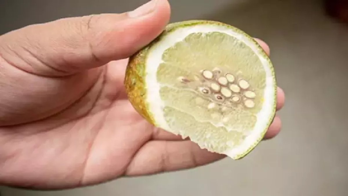 Kabuğu ve suyu tüketiliyor, çekirdeği hep unutuluyor! Limon çekirdeğinin faydaları duyanları şaşırtıyor