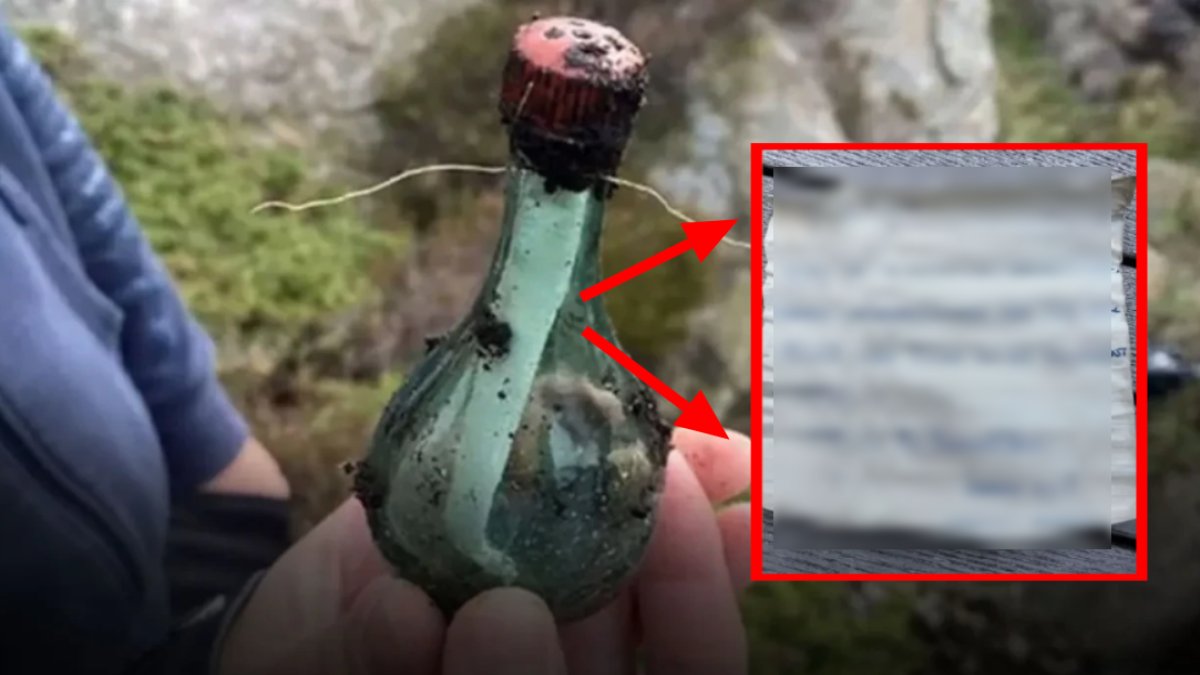 42 yıl sonra denizden çıktı! İçinde ise not bulundu: İşte içindeki o not