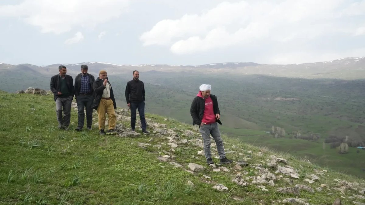Hayvan otlattığı sırada keşfettiği şey şok etti! Göbeklitepe ile eşdeğer: Defineciler tahrip etmiş