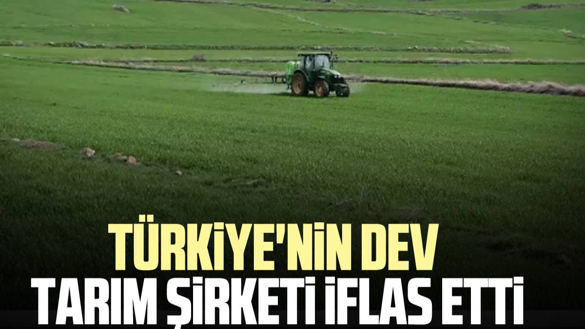 Çiftçileri korku sardı. Konkordato talebi reddedildi! Destek aldıkları tarım ve hayvancılık şirketi iflas bayrağını çekti