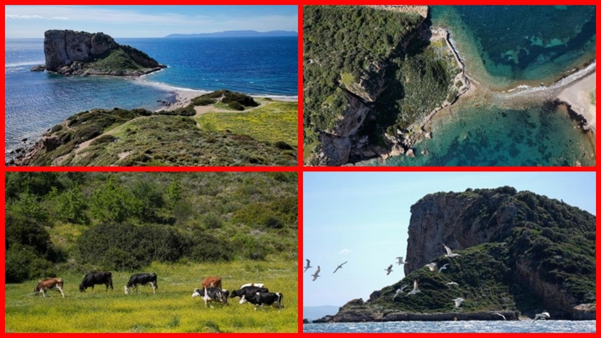 Yürüyerek gidiliyor, doğaseverleri cezbediyor! Yeşilin ve mavinin uyumu göz alıyor: Tam kaçamak yapmalık rota