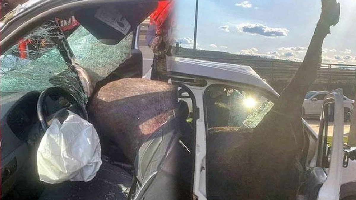 Yola fırlayan at, sivil polis aracına girdi! 1'i ağır 2 polis yaralandı, at ise öldü