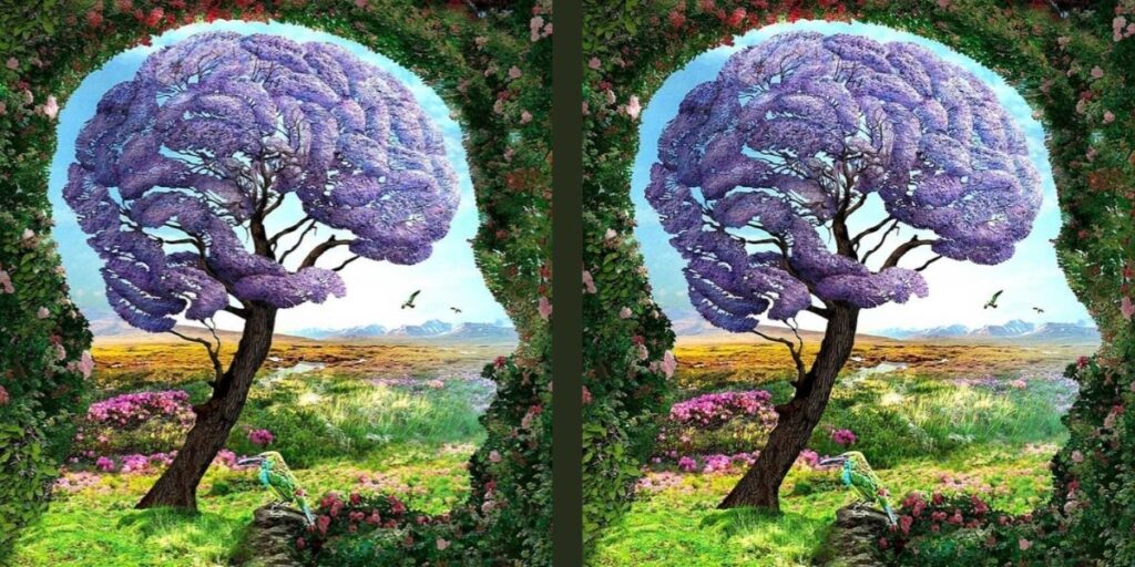 Kişilik testi: Çatışmalarla nasıl başa çıkıyorsunuz? İlk gördüğünüz şey bunu ortaya çıkaracak!