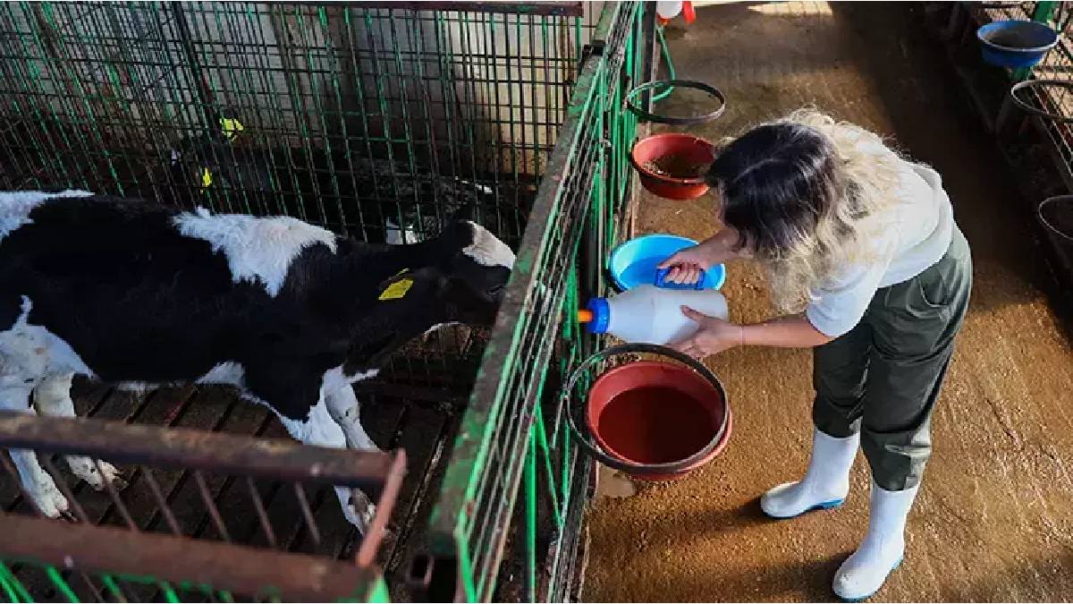Ofis sandalyesinden hayvancılığa! Kalabalıktan kaçıp üretime başladı, marka oldu: Şimdi herkes onun ürünlerini alıyor…