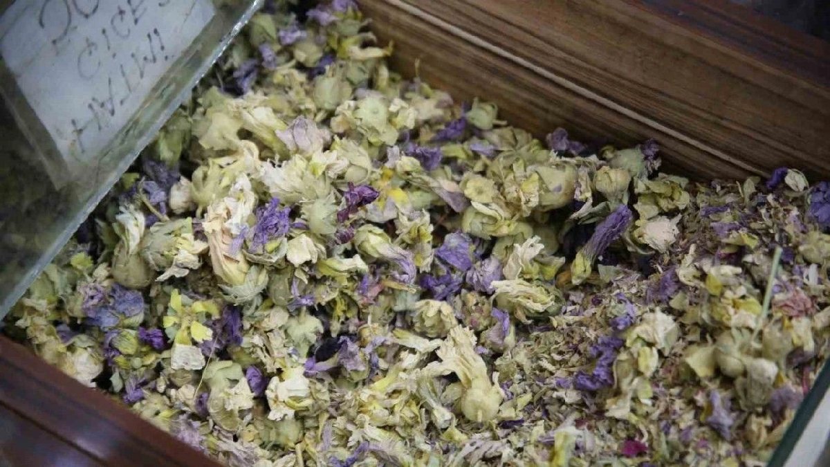 Öksürük tutan kapısını çalıyor, enfeksiyona bir numaralı çözüm oluyor! 13 senedir dertlere derman oluyor