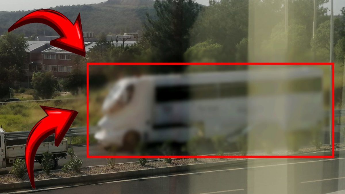 Yolda görenler durup bir daha baktı! Dünya üzerinde sayısı 100'ü geçmiyor: Sanki bilim kurgu filminden fırlamış gibi