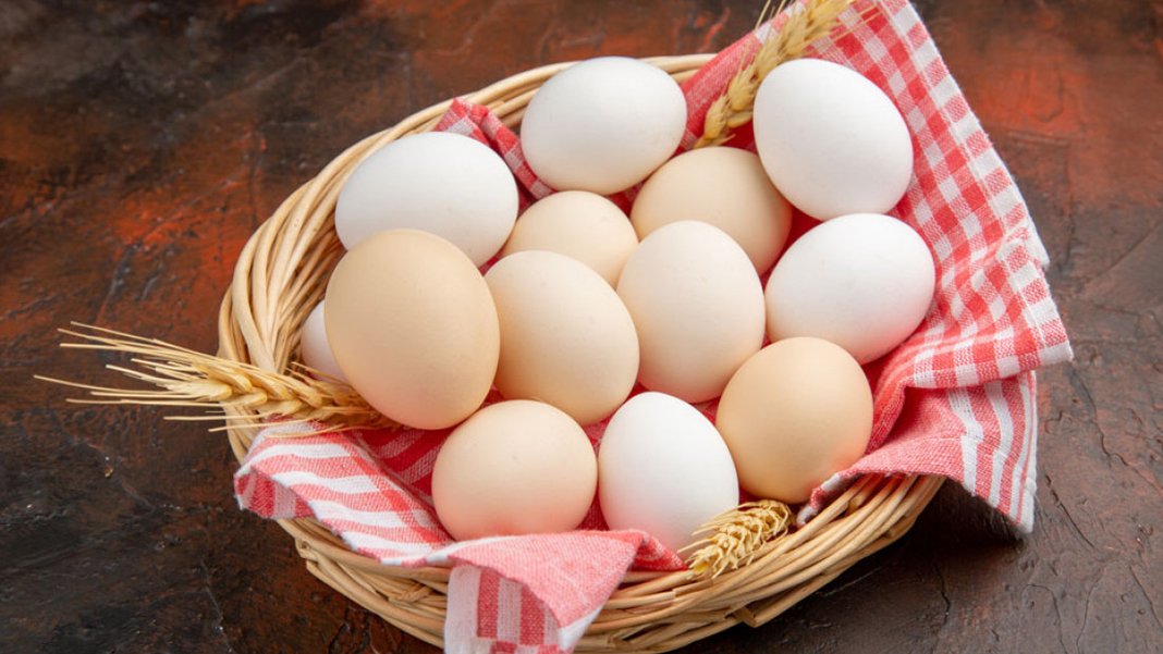 Yumurta fiyatları yüzde 50 geriledi