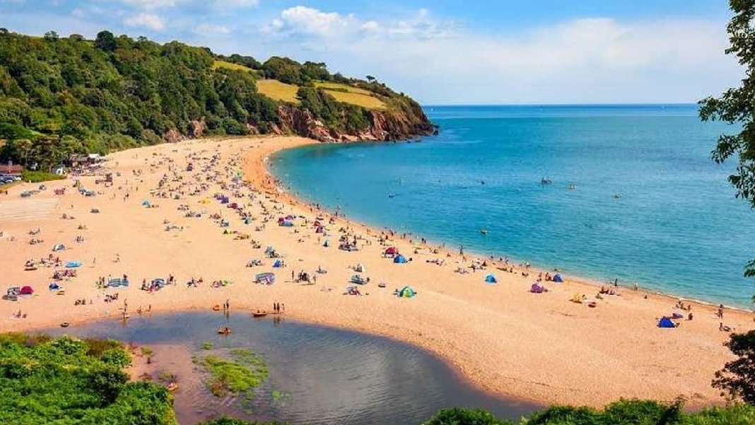 İngiliz plajlarında deniz kabuğu toplamaya büyük ceza