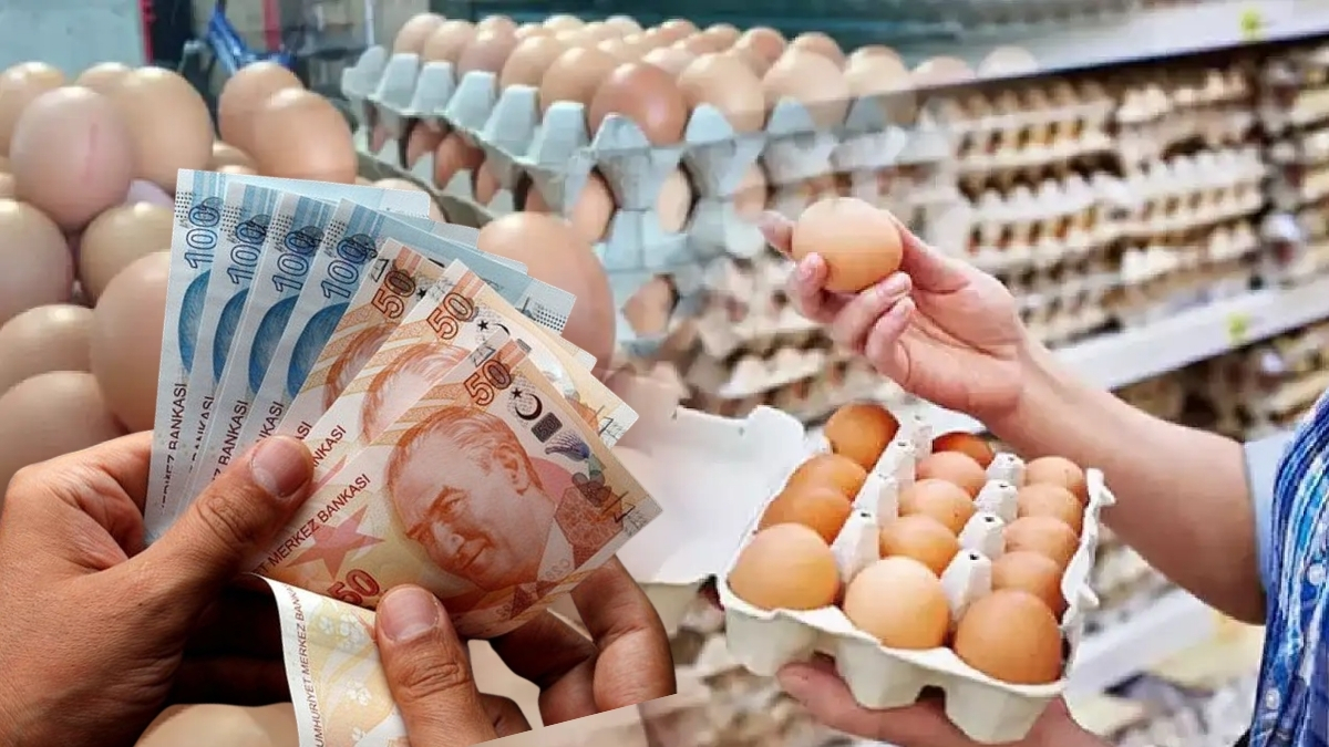 Yumurta fiyatlarında sert düşüş! Ramazan ve kuş gribinin etkisi geçti: Fiyatlar aşağı çekildi