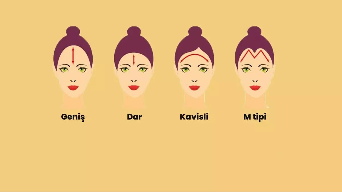 Zeki misiniz yoksa başarılı mı? Her şey alnınızda yazıyor! Gelin yanıtını birlikte öğrenelim