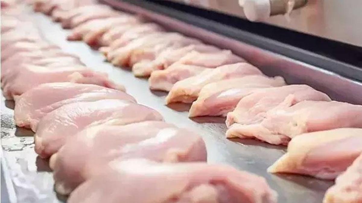 Marketlerde satılan tavuk için acil iade uyarısı! Sakın tüketmeyin: Fiş olmaksızın parası geri verilecek