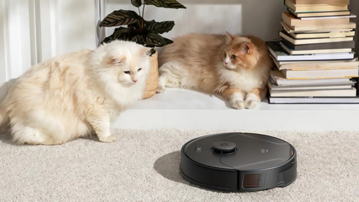 Robot süpürlere yeni görevler yolda! Günün çoğunu boş geçiriyorlar: Bitki sulama, kediyle oynama...