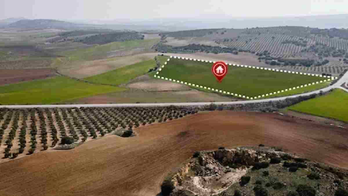 Arsa sahibi olmak artık hayal değil! Sadece 52.000 TL yeterli: Milli Emlak’tan büyük kampanya…