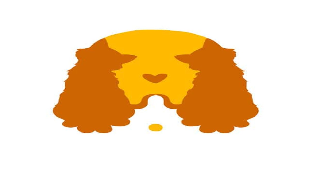 İlk ne gördünüz? Bu görsel kişiliğinizin derinliklerine ışık tutuyor: Kedi mi köpek mi?