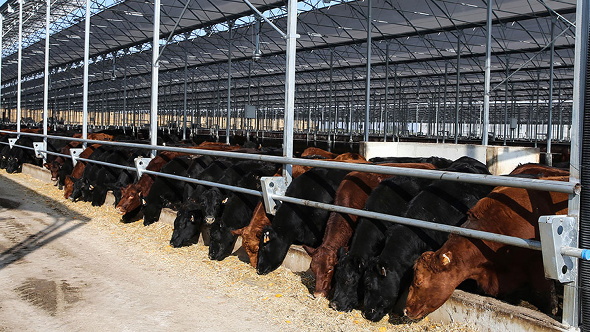 Et krizi derinleşti: ESK’ya ithalat yetkisi verildi