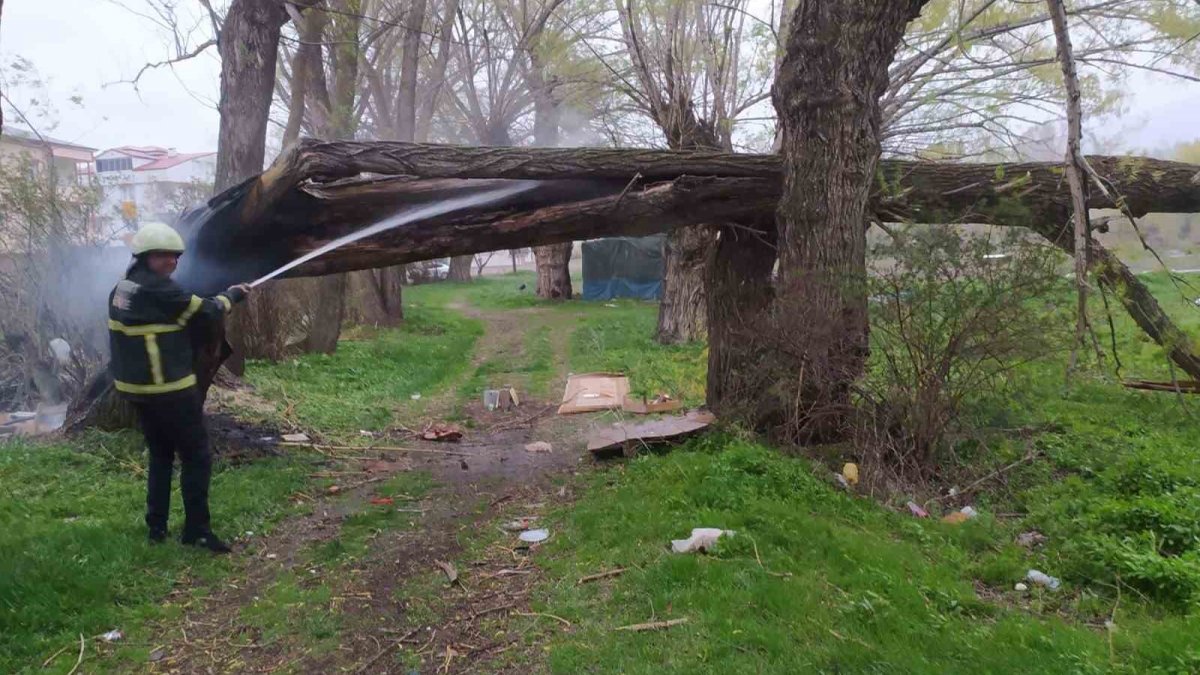 Bir gürültü koptu, ağaç bir anda yanmaya başladı: Herkes şaşkına döndü