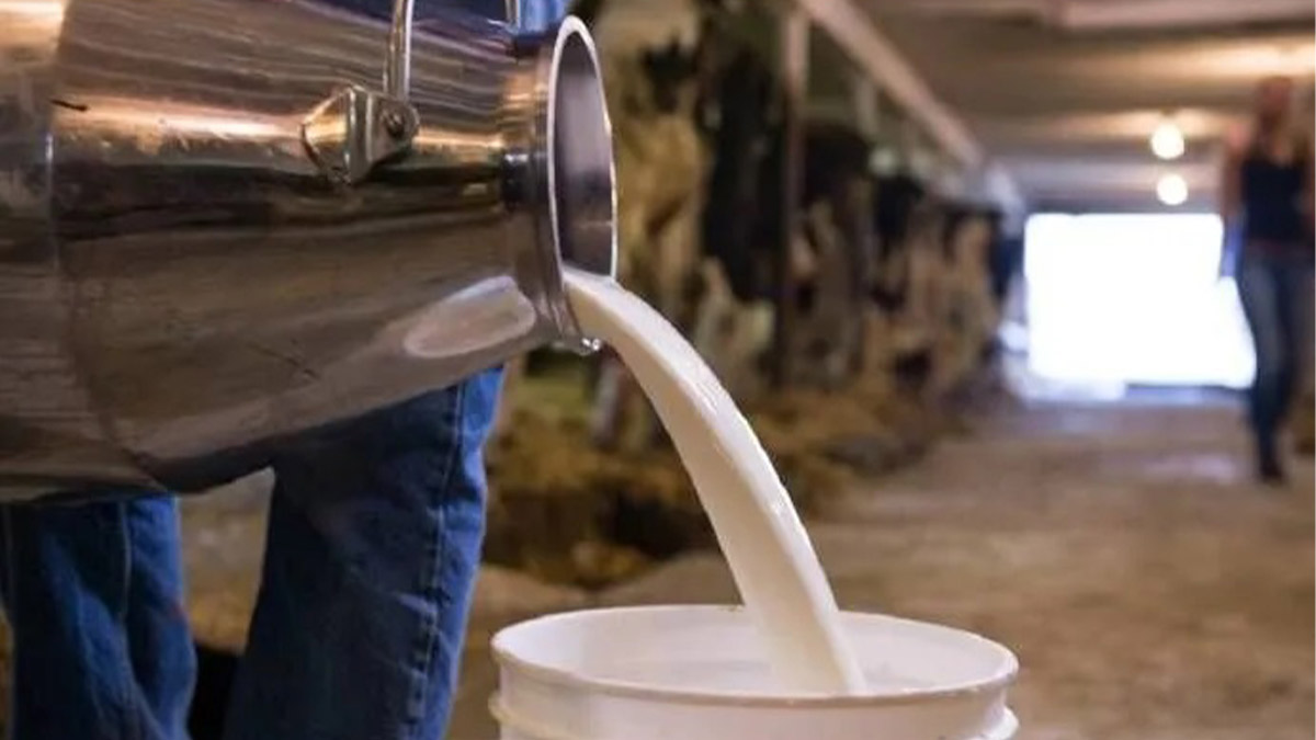 TÜİK: Çiğ süt üretimi 2024'te yüzde 4,7 arttı