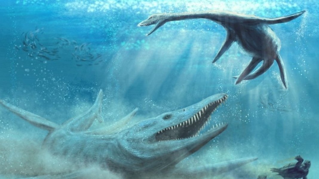 9 tonluk deniz canavarı fosili bulundu