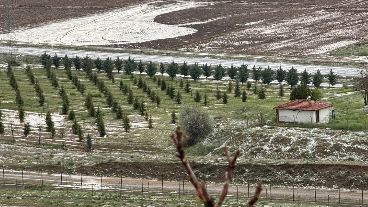 Dolu yağdı zararını yine çiftçi gördü! Tam 8.000 dönüm tarım alanını etkiledi: ‘Emeğimiz bir günde gitti’