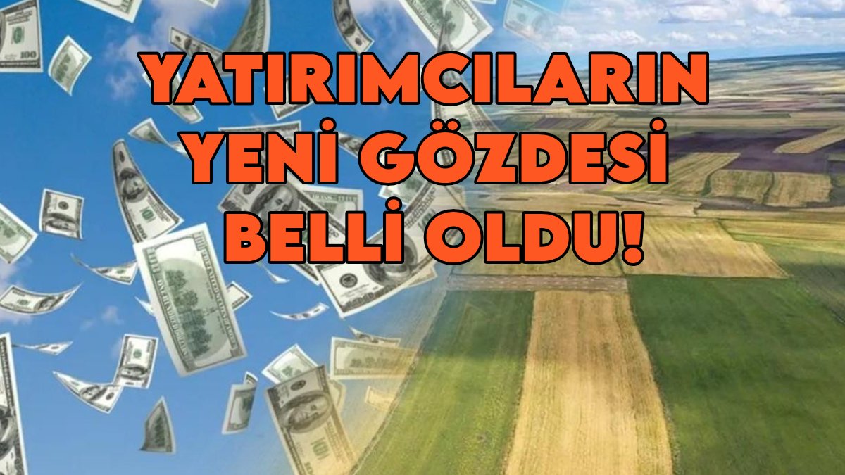 Parası olan artık buna yatırıyor! İstanbul depremi sonrası Türkiye'nin o bölgelerinde arsa fiyatları roketledi