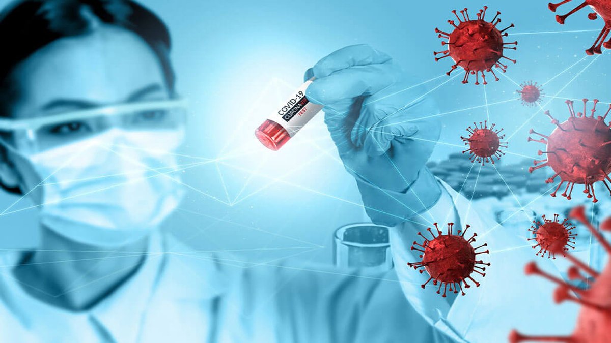 Enfeksiyona mikroba göz açtırmıyor! Bilim dünyası bu 4 besini konuşuyor: O mucizevi besinleri hayatınıza dahil edin
