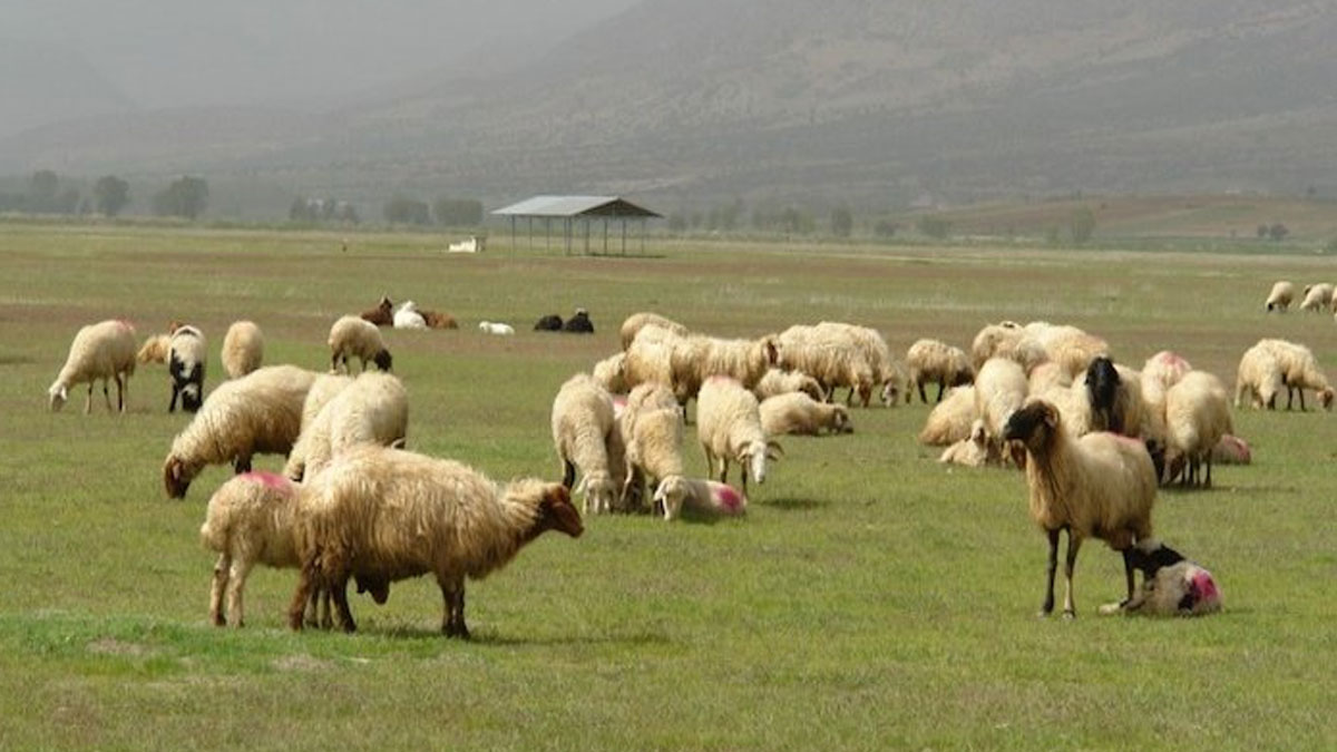 Mera alanları için yeni düzenleme: Ticari amaç için kullanılabilecek